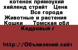 котенок прямоухий  хайленд страйт › Цена ­ 10 000 - Все города Животные и растения » Кошки   . Томская обл.,Кедровый г.